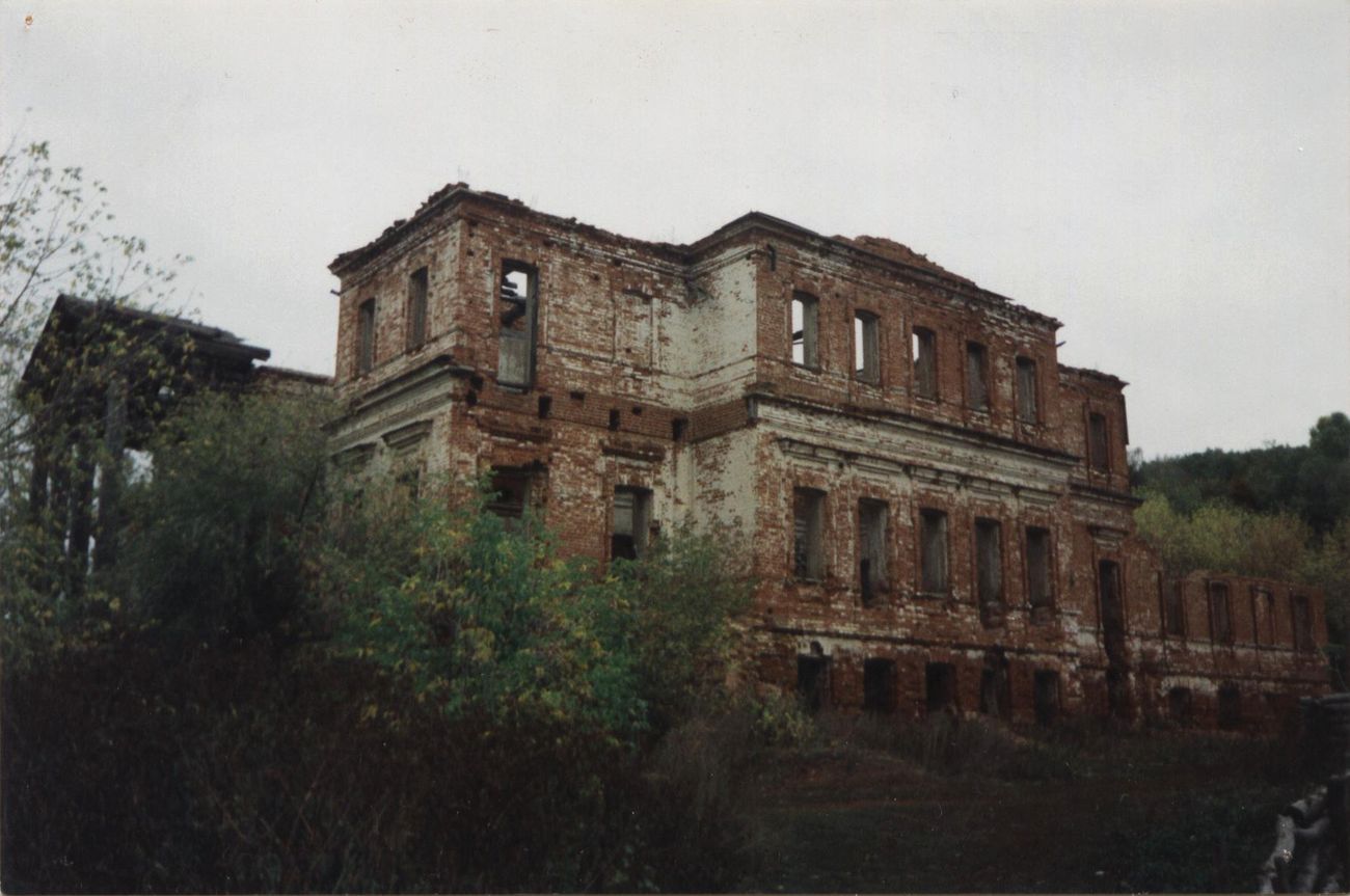 Усадьба Рычкова (вид с южной стороны) в с. Рычково, 1996 г.