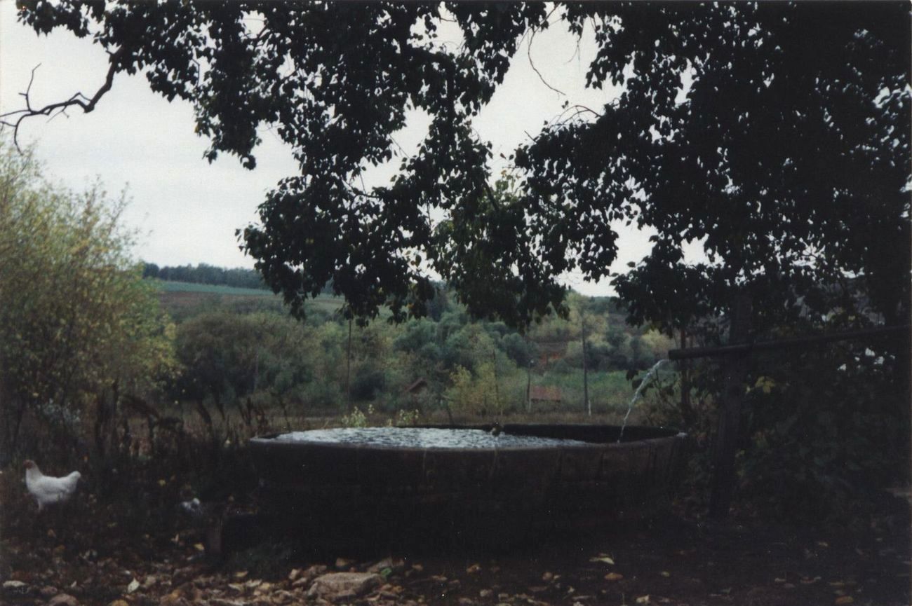 Родник у барского дома в с. Рычково, 1996 г.