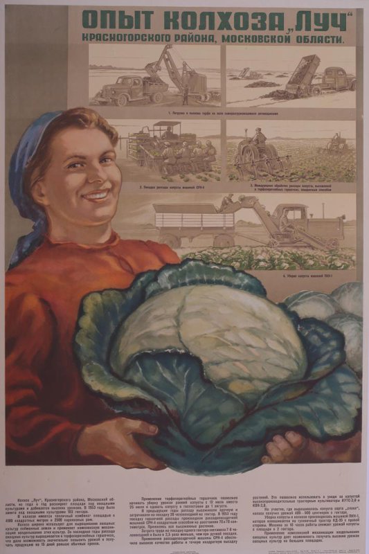 Гуковская Л. Опыт колхоза «Луч» Красногорского района Московской области, 1954 г.