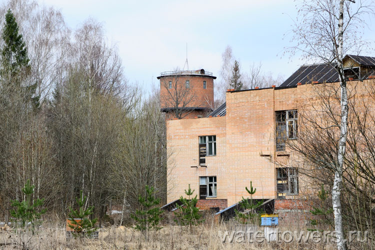 Заброшенный пионерлагерь «Звездный» в Мышецком
